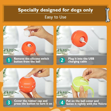 SmartRoll Pet Ball - V.I.P Digital Presence
