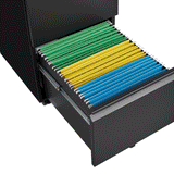 Metal 2 drawer mobile file cabinet with lock, 25.6-inch high legal/letter size file storage cabinet  black - V.I.P Digital Presence