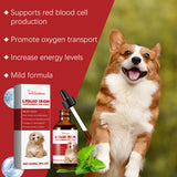 Pet Dog Syrup Pampers Pet Dogs With Gentle Ingredients To Help Absorb Care Supplements - V.I.P Digital Presence