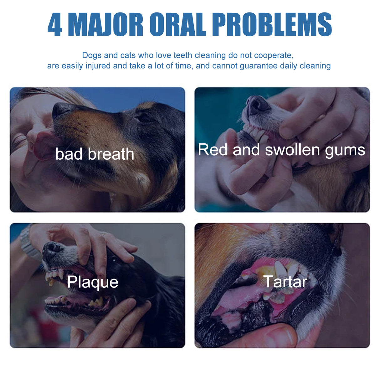 Pet Tartar Remover, Removing Dental Calculus Yellow Teeth Halitosis Cleaning Teeth Mouth Foam Cleaner - V.I.P Digital Presence
