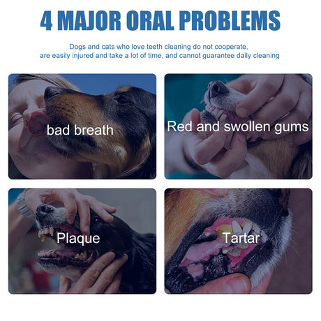 Pet Tartar Remover, Removing Dental Calculus Yellow Teeth Halitosis Cleaning Teeth Mouth Foam Cleaner - V.I.P Digital Presence
