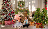 Christmas Tree Artificial Christmas 4-piece Set, including flower wreath, flower wreath, and 2 entrance trees, with LED lights - V.I.P Digital Presence