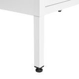 Steel storage cabinet, double door miscellaneous storage cabinet, 2 movable partitions white - V.I.P Digital Presence