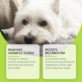 Dog Care Drops, A Comprehensive Healthy Dietary Supplement To Enhance Nutrition And Rejuvenate Dogs - V.I.P Digital Presence