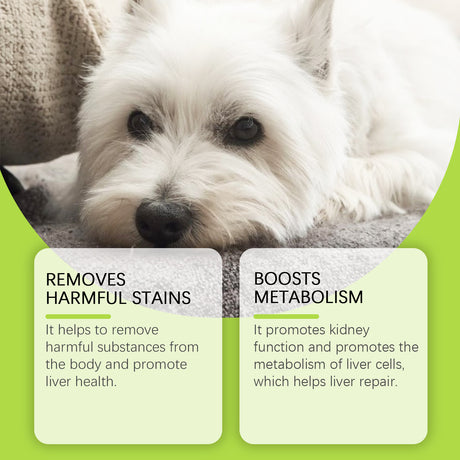Dog Care Drops, A Comprehensive Healthy Dietary Supplement To Enhance Nutrition And Rejuvenate Dogs - V.I.P Digital Presence