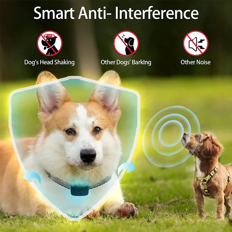 Pet Dog Anti Bark Device USB Ultrasonic Intelligent Electric Training Stop Barking Vibration Water Proof Collar Pet Products - V.I.P Digital Presence