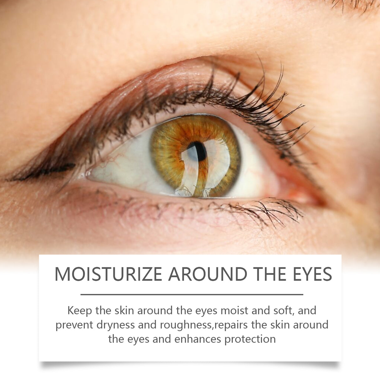 Bee Venom Eye Cream, gently hydrates and moisturizes the skin around the eyes to improve elasticity - V.I.P Digital Presence
