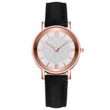Luxury Watches Quartz  Watch Stainless Steel Dial Casual Bracele Watch - V.I.P Digital Presence