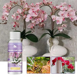 50ml Orchid Fertilizer Liquid Orchid Flower Plants Growth Enhancer Supplement Houseplants Food Promoter For Orchids Acid Blooms - V.I.P Digital Presence