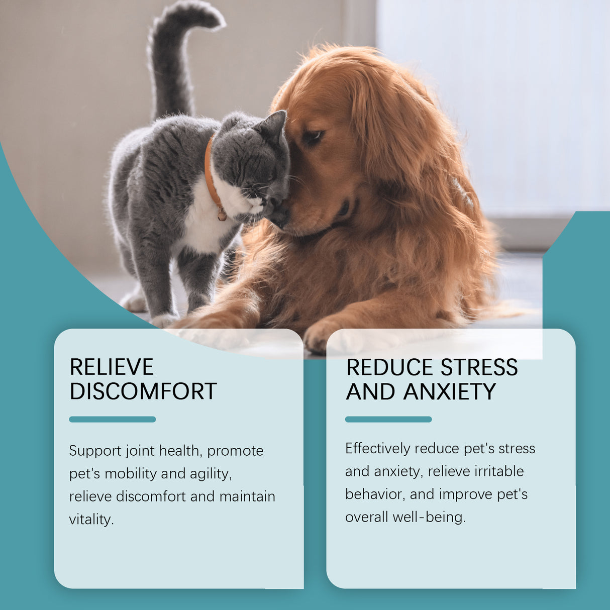 Pet Food Supplement Care For Pets Physical Discomfort Daily Care Food Supplement - V.I.P Digital Presence