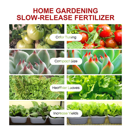 Plant Growth Nutrition Sustained-Release Tablet, Fruit And Vegetable Plant Pot Root Growth Universal Nutrition Tablet - V.I.P Digital Presence