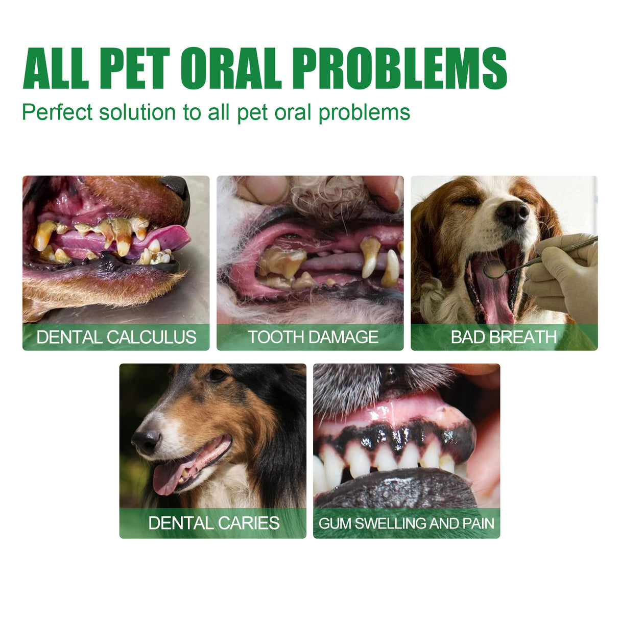 Pet Tooth Deodorizer Spray, Cats And Dogs Universal Mouth Cleaning Breath Freshening Spray - V.I.P Digital Presence