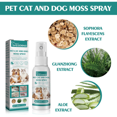 Pet Skin Medicine Spray, Cats And Dogs To Remove Mite Skin Itching To Remove Red Hair To Itch - V.I.P Digital Presence