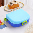 INS portable compartment lunch box bento box lunch box - V.I.P Digital Presence