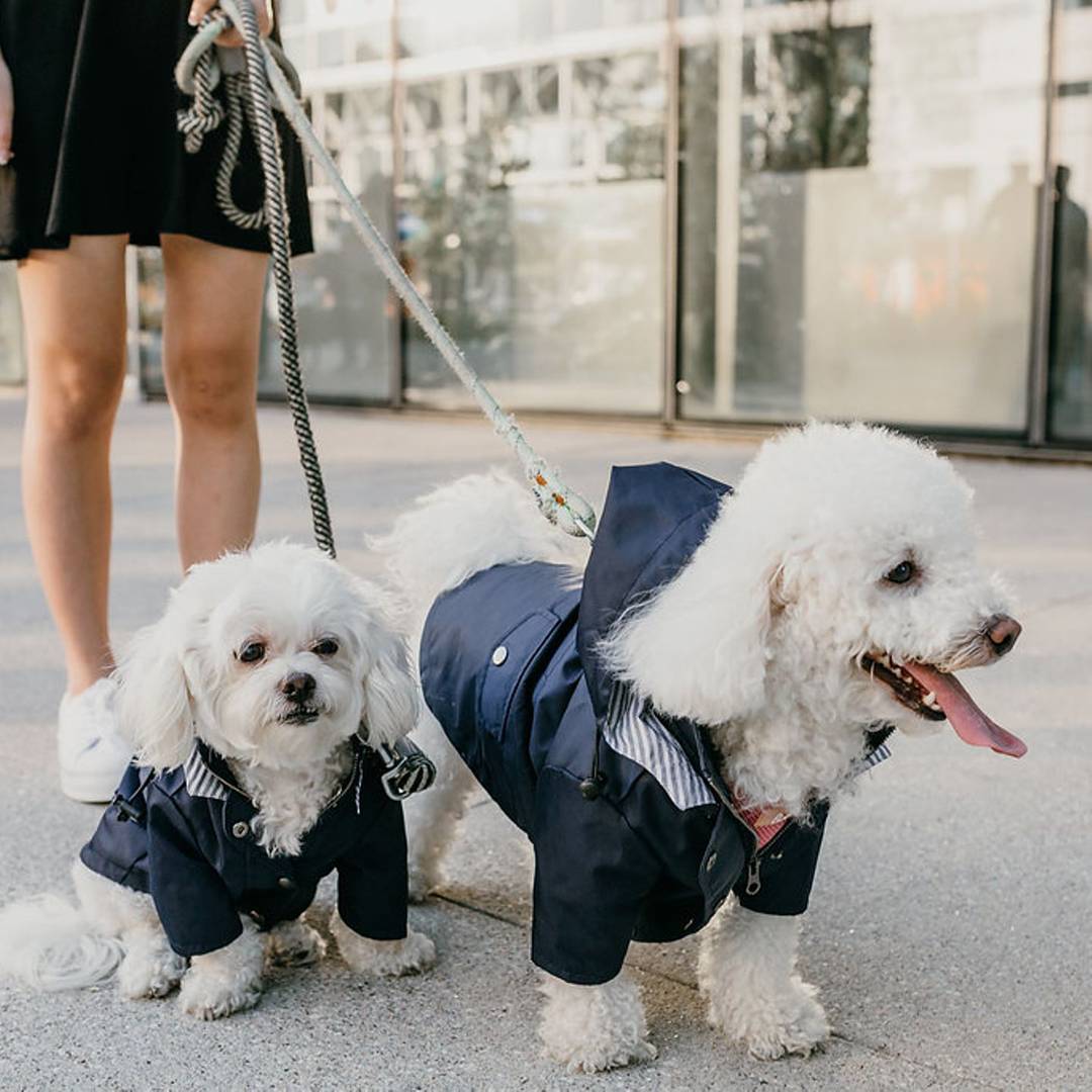 Windproof and rainproof British retro thick dog raincoat dog pet submachine jacket - V.I.P Digital Presence