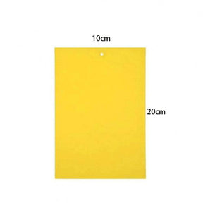 Double sidedStrong Flies Traps Bugs Sticky Board Catching Aphid Insects Killer fly Control Whitefly Thrip Leafminer Glue Sticker - V.I.P Digital Presence
