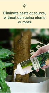Insecticide flower plant insecticide flower aphids rose flower diseases and insect pests indoor flower spray insecticide water e - V.I.P Digital Presence