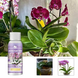50ml Orchid Fertilizer Liquid Orchid Flower Plants Growth Enhancer Supplement Houseplants Food Promoter For Orchids Acid Blooms - V.I.P Digital Presence