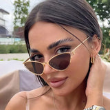 Cat Eye Sunglasses Women Trendy Vintage Vacation Designer Luxury Glasses Lentes De Sol Mujer Lunette Soleil Femme Vasos - V.I.P Digital Presence