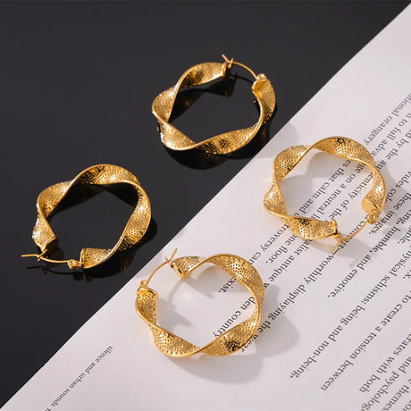 Titanium Steel Twisted Earrings - V.I.P Digital Presence
