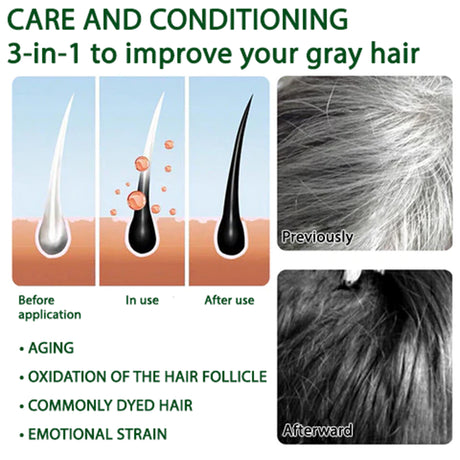 Black Hair Spray Dense Nourishing Roots Shine Smooth Natural Black Hair Cover White Hair Conditioner Spray - V.I.P Digital Presence