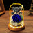 Valentine's Day Gift Everlasting Flower Bear Moss Glass Cover Finished Gift Box for Girlfriend Birthday Ornament Dried Flowers Roses - V.I.P Digital Presence