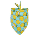 Pet Accessories Summer Pet Drool Towel Fruit Style Pet Scarf Pure Cotton Dog Triangle Scarf - V.I.P Digital Presence