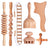 Beech wood therapy scraping cup, meridian dredging roller, tendon rolling stick, scraping board, head massager, massage set - V.I.P Digital Presence
