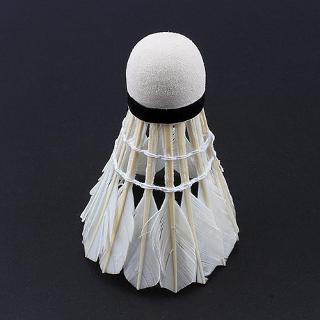 12pcs/lot Badminton - V.I.P Digital Presence