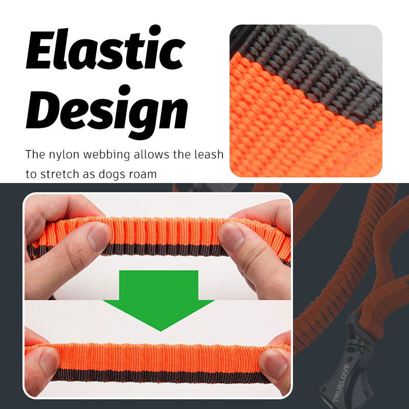 Pet dog leash with elastic cushioning suitable for outdoor activities such as running and waist tying - V.I.P Digital Presence