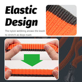 Pet dog leash with elastic cushioning suitable for outdoor activities such as running and waist tying - V.I.P Digital Presence