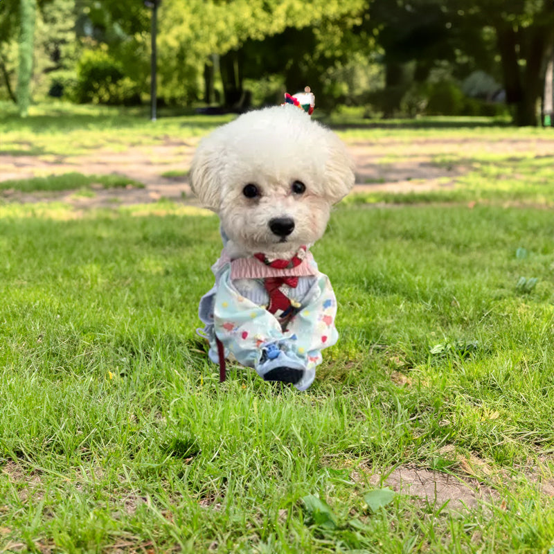 Pet Stroller, Dustproof Pants, Summer Jumpsuit, Leg - Protective Shoes/Trousers, Small Pet Wear - V.I.P Digital Presence
