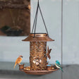 Outdoor solar powered lamp metal hanging bird feeder feeding and watering dual-purpose bird feeder decorative lamp - V.I.P Digital Presence
