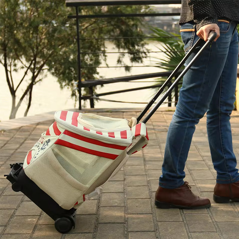 Foldable portable carts: wheel, luggage, hand truck, trolley, travel - shopping, household. - V.I.P Digital Presence