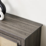 Vine TV stand console table, suitable for TVs under 70 inches, equipped with 2 storage shelves and 2 natural rattan doors, gray - V.I.P Digital Presence