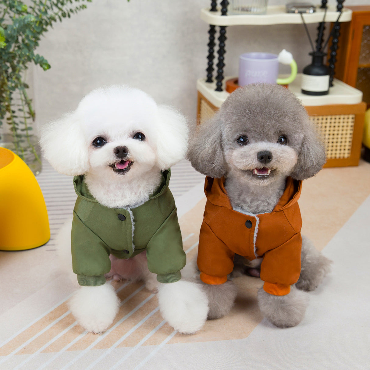 Pet clothes sweaters clothing for dogs teddy cats cool style two legged cotton clothes - V.I.P Digital Presence