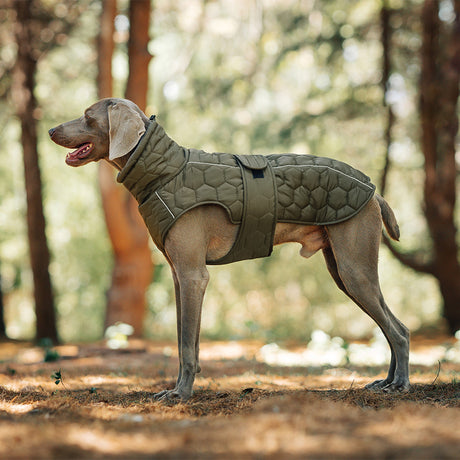 Thick and warm dog clothing outdoor cotton coat vest for winter warmth - V.I.P Digital Presence