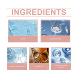 Auto Shellac Cleaning Agent Car Paint Decontaminating Bird Droit Resin Shellac Bug Spot Foam Cleaner - V.I.P Digital Presence