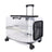 Rolling Pet Travel Trolley with Wheel, Transparent Capsule, Pink, Green, Puppies, Dogs, Cat Carriers Bag, 5-20Kg - V.I.P Digital Presence