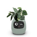 USB Auto Absorbent Planter Brand New PP Resin Plastic Round Eco-friendly Interactive - V.I.P Digital Presence