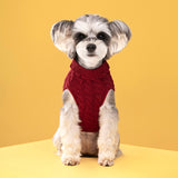 Autumn and winter pet dog cat warm solid color classic Fried Dough Twists sweater thickened turtleneck sweater - V.I.P Digital Presence