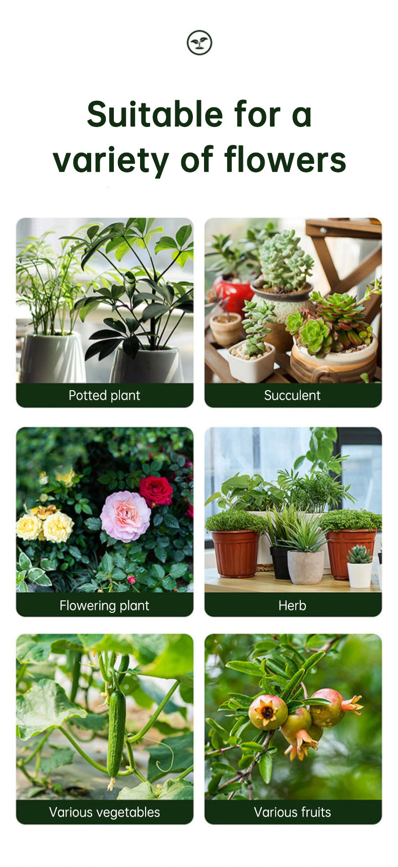 Insecticide flower plant insecticide flower aphids rose flower diseases and insect pests indoor flower spray insecticide water e - V.I.P Digital Presence