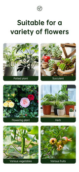 Insecticide flower plant insecticide flower aphids rose flower diseases and insect pests indoor flower spray insecticide water e - V.I.P Digital Presence