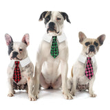 New British style handsome Christmas dog collar Christmas pet tie - V.I.P Digital Presence