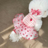 Cat Clothes Pet Yarn Skirt Teddy Pomeranian Bears VIP Yorkshire Schnauzer Small Dog Sheer - V.I.P Digital Presence