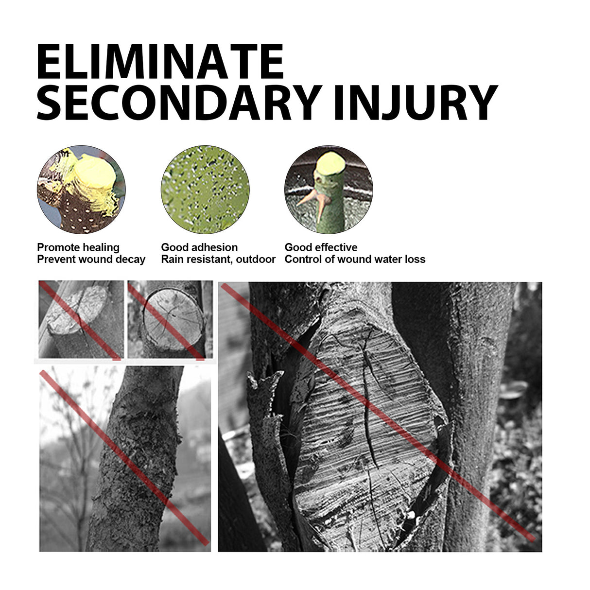 Tree Wound Dressing, Seed Fruit Tree Callus Supplement Root Plant Application Agent - V.I.P Digital Presence