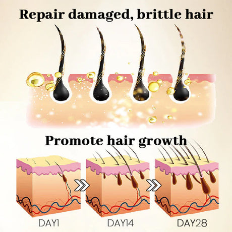 Ginseng Massage Essence, Moisturizes Scalp Strengthens Hair Prevents Loss Hair Care Essence - V.I.P Digital Presence