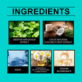 Coconut Mint Mouthwash Remove Stains, Freshen Breath And Clean Teeth With Convenient Care Mouthwash - V.I.P Digital Presence