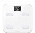 Yunmai International Version Color Smart Weight Scale Digital Body Fat Health Scale 10 Body Date Weighting Scale - V.I.P Digital Presence