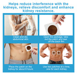 Body Care Patch, Ease Back Pain And Discomfort Lock Yang Kidney Health Body Care Patch - V.I.P Digital Presence